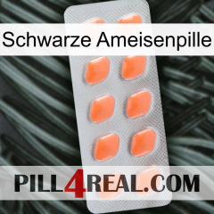 Black Ant Pill 26